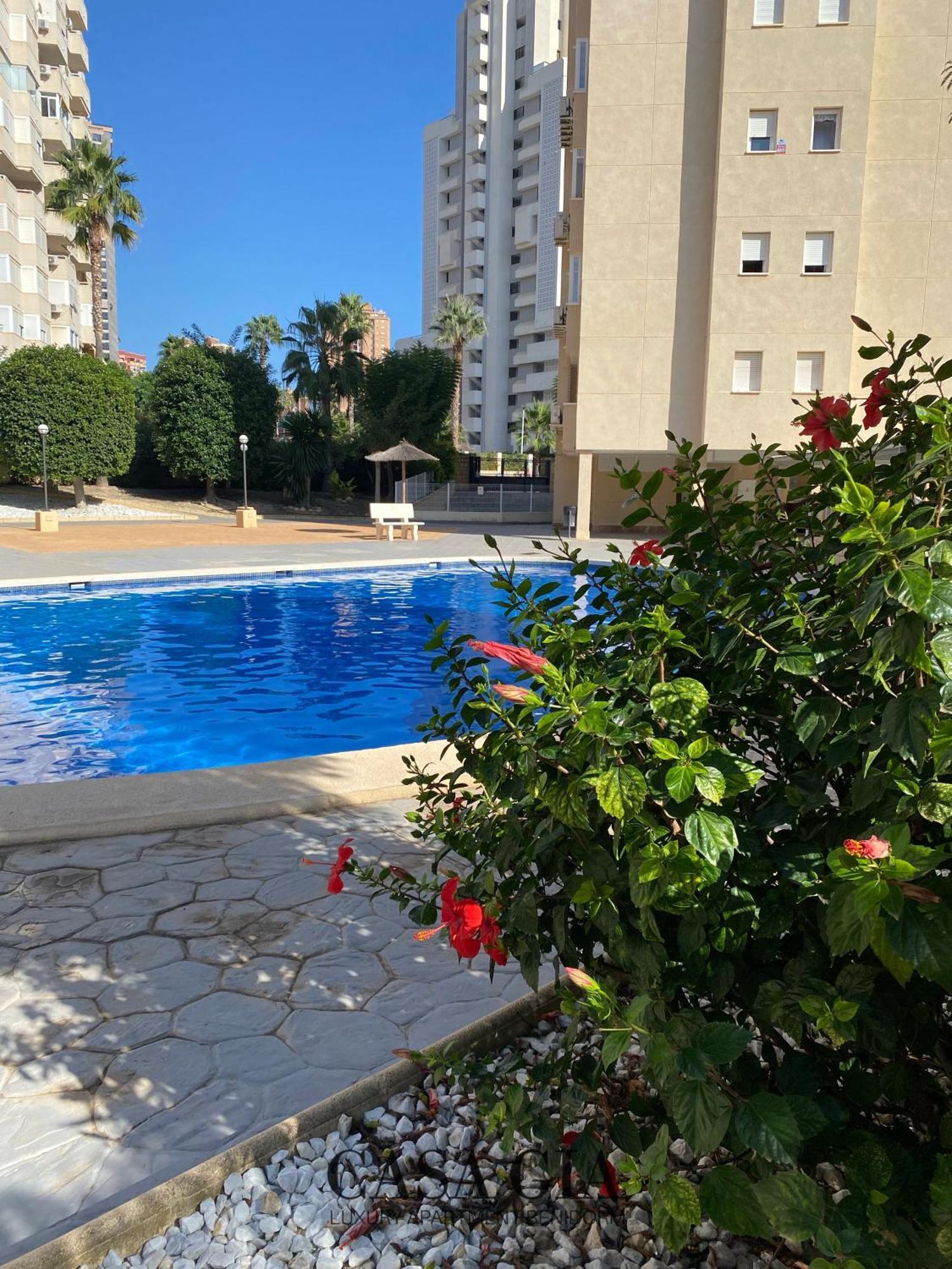 Casa Gia L Luxury Apartment Benidorm Ngoại thất bức ảnh